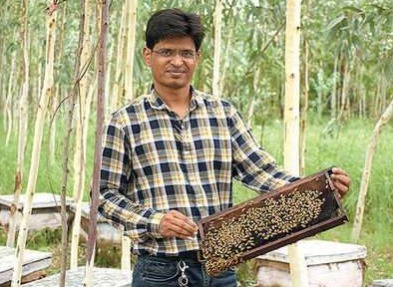 Vadodara: Engineer tastes sweet success with honey