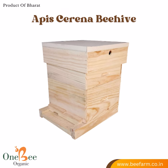 Apis Cerana Indica (Indian) Beehive - Image 3