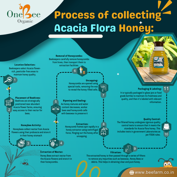 Acacia Flora Honey Collection process