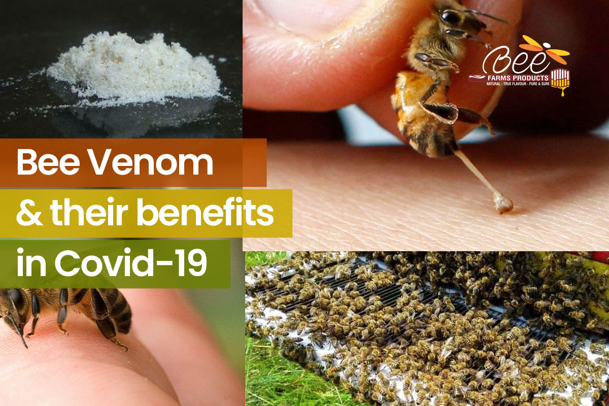 Bee Venom Benefits