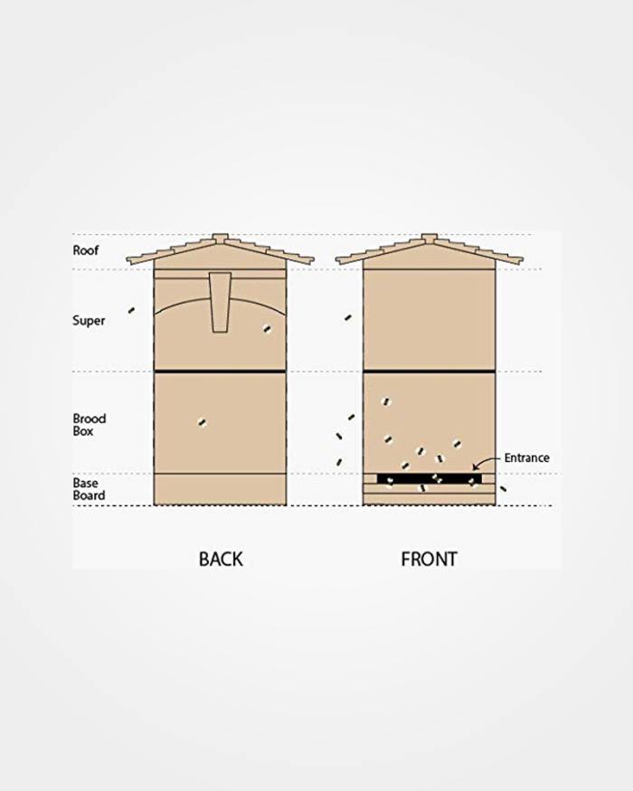 Flow hive front and back