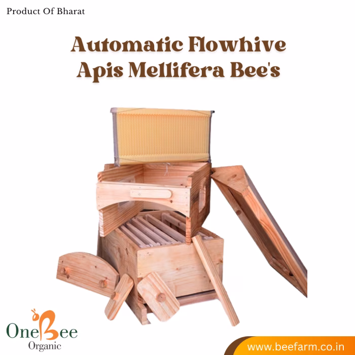 Automatic Flowhive_Apis Mellifera (italian) Beehive - Image 2