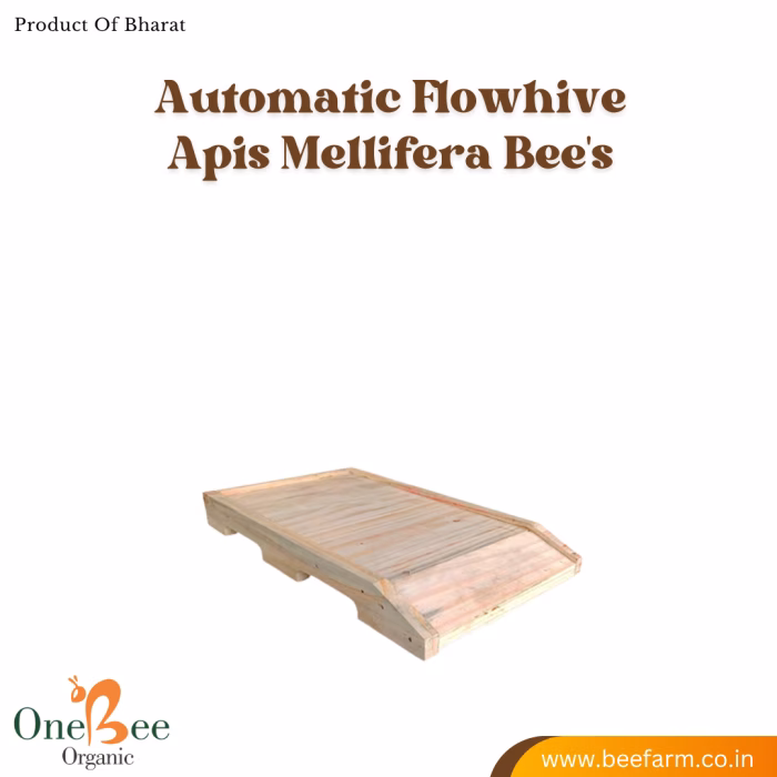 Automatic Flowhive_Apis Mellifera (italian) Beehive - Image 3