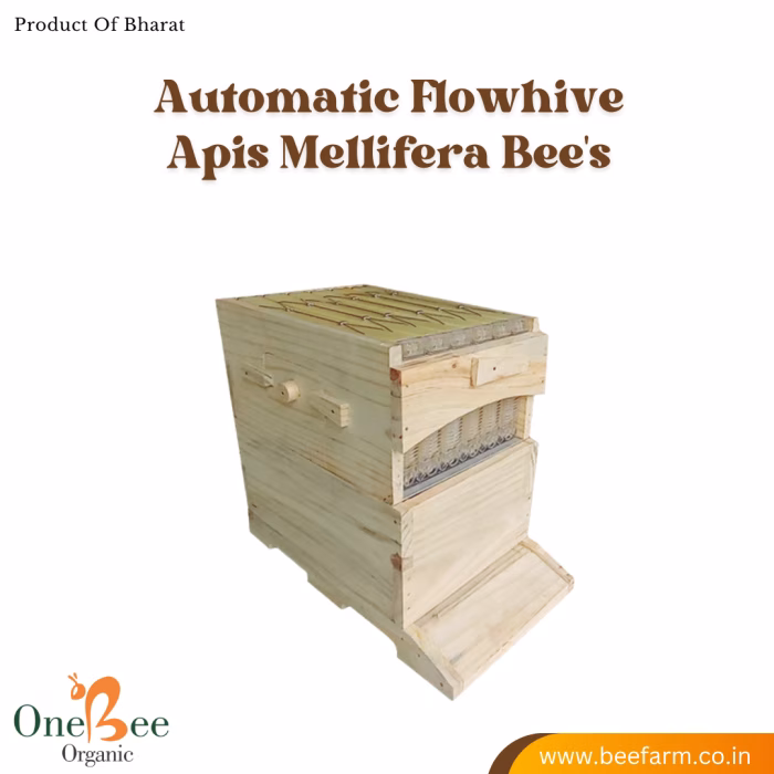 Automatic Flowhive_Apis Mellifera (italian) Beehive - Image 5