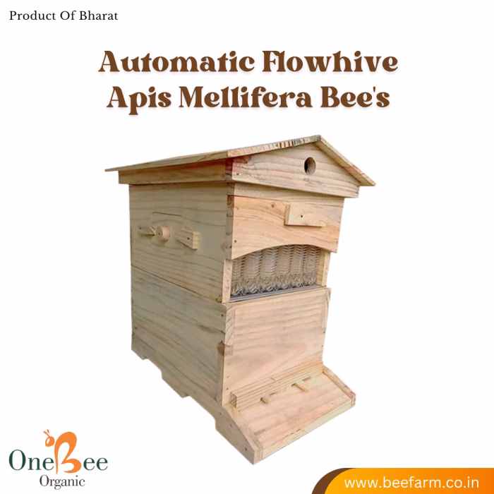 Automatic Flowhive_Apis Mellifera (italian) Beehive - Image 6