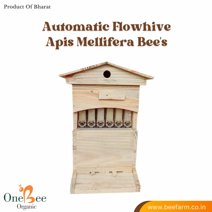 Automatic Flowhive_Apis Mellifera (italian) Beehive