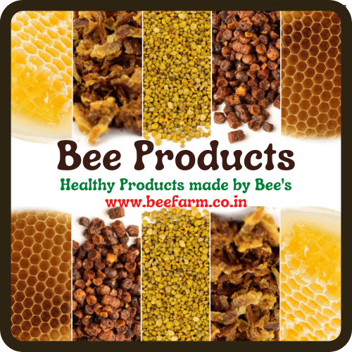 Honey Bee Product and its Uses