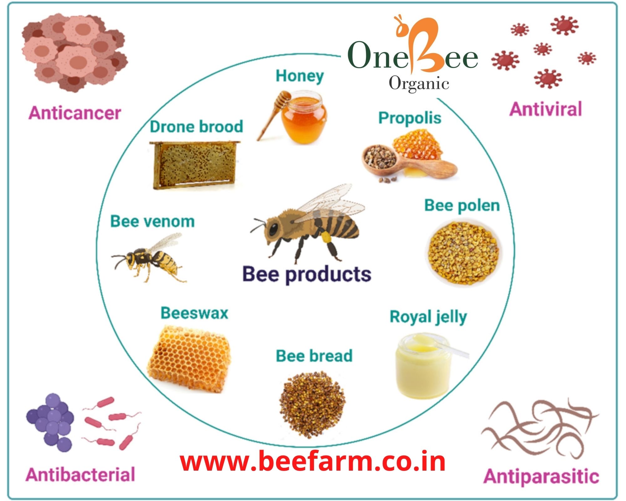 Honeybee Products