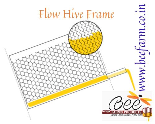 flow hive frames design