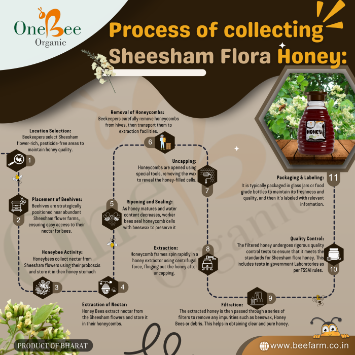 Sheesham Flora Honey Collection Process