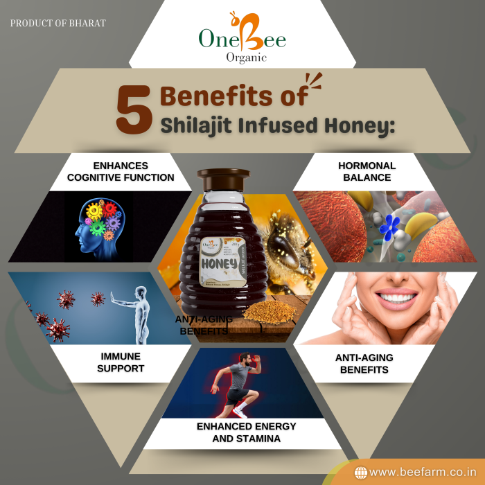 Benefits of Shilajit-Infused Honey