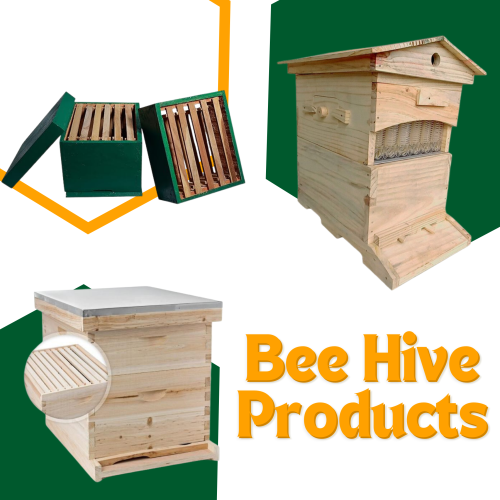 Bee Hive