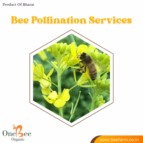 Rental Beehive Pollination Services