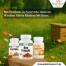 Bee Products in Ayurveda: Ancient Wisdom Meets Modern Wellness