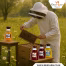 Behind the Hive How Beefarm Sources Its Honey