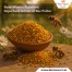 Buzz-Worthy Nutrition Superfood Secrets of Bee Pollen