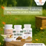 Nature’s Powerhouse Exploring the Benefits of Bee Products