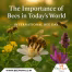 The Importance of Bees in Today’s World
