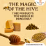 The Magic of the Hive 7 Bee Products You Should Be Using Daily