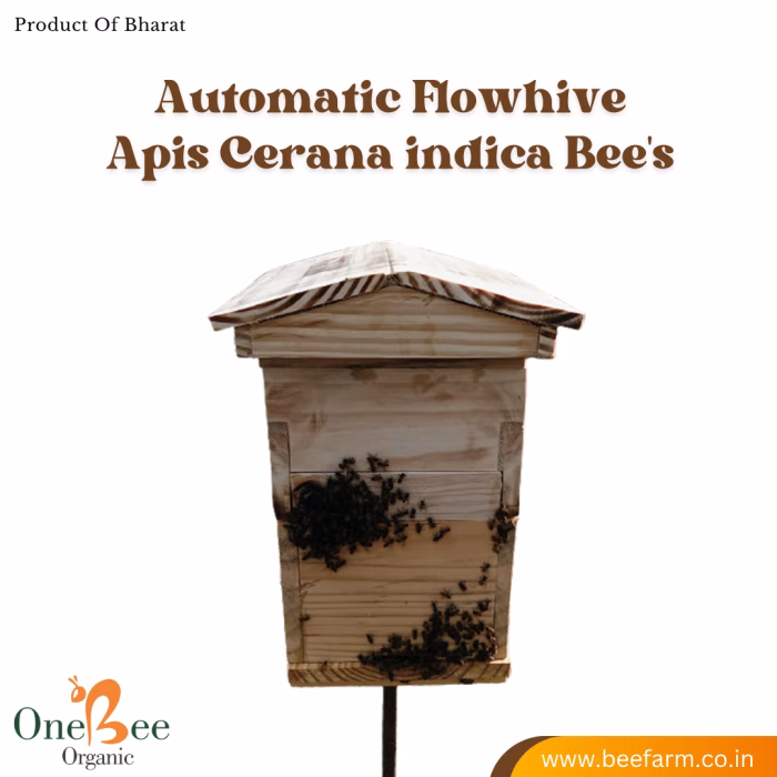 Automatic Flowhive_Apis Cerana indica Bee's