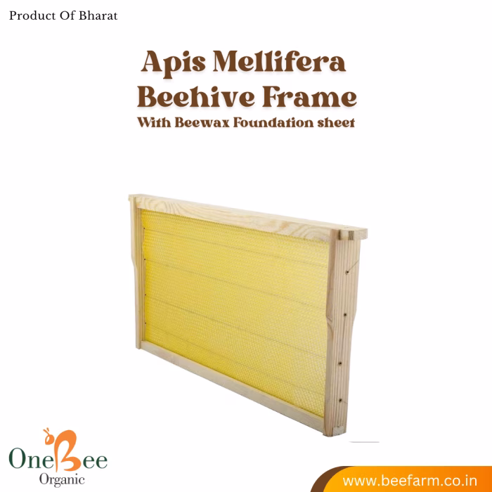 Beehive Frames for Apis mellifera (Colonies) - Image 2