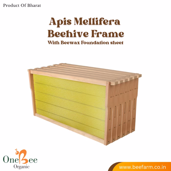Beehive Frames for Apis mellifera (Colonies) - Image 3