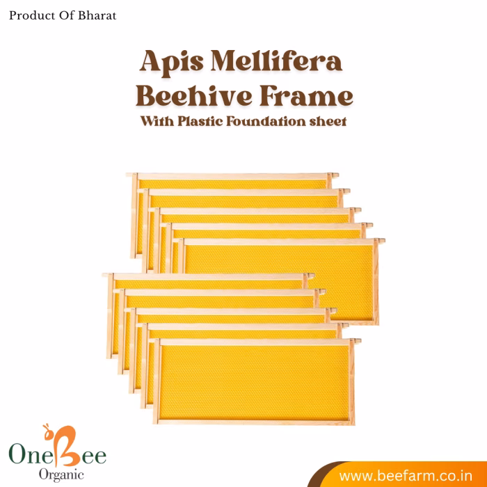 Beehive Frames for Apis mellifera (Colonies) - Image 4