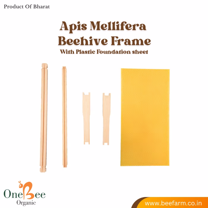 Beehive Frames for Apis mellifera (Colonies) - Image 6