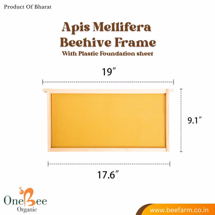 Beehive Frames for Apis mellifera (Colonies) - Image 5