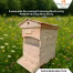 Sustainable Harvesting: Protecting Biodiversity While Producing Flora Honey